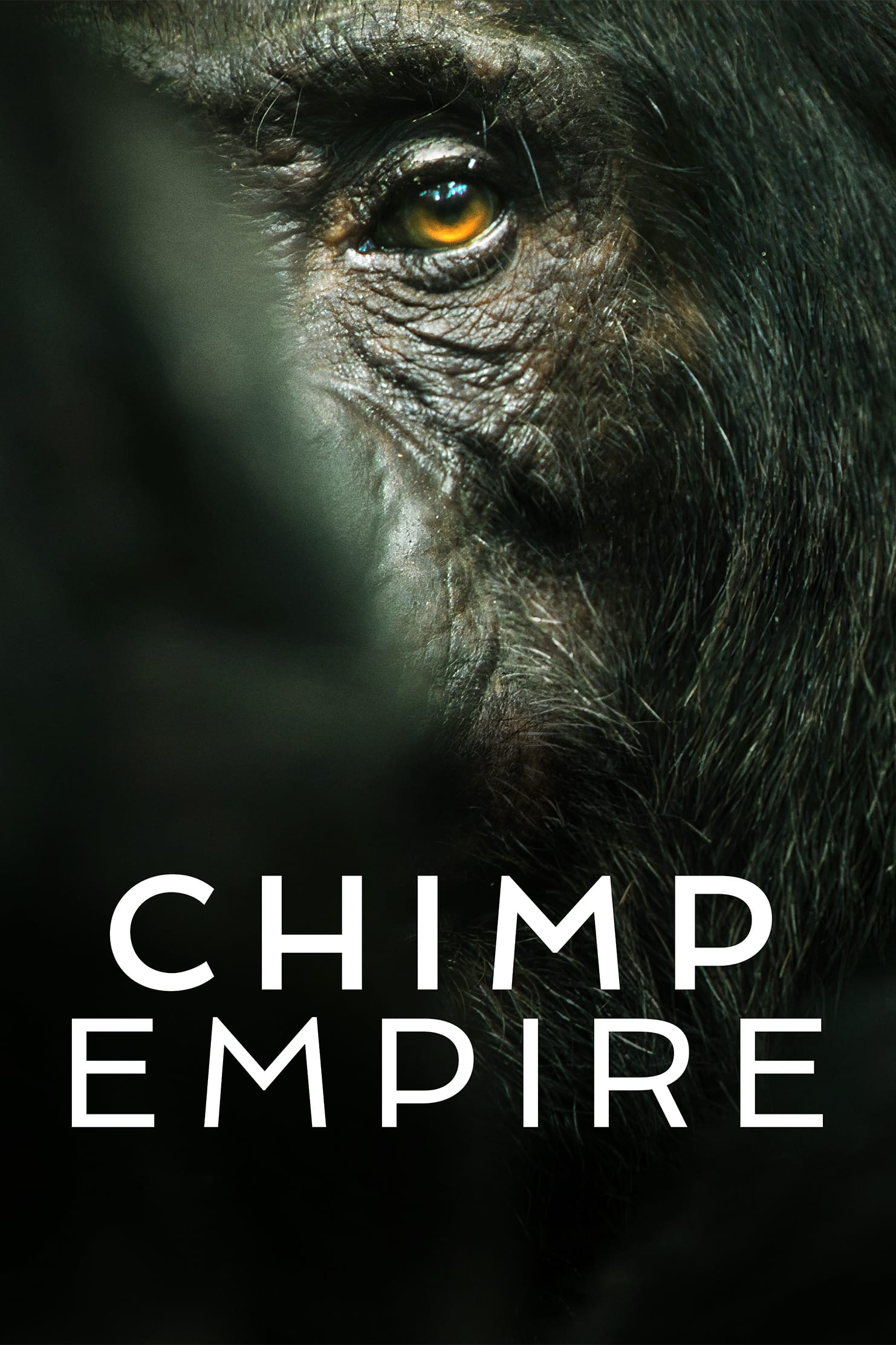 Chimp Empire